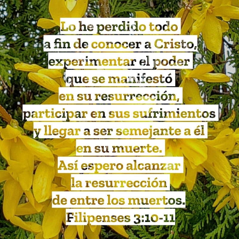 Filipenses 3:10-11